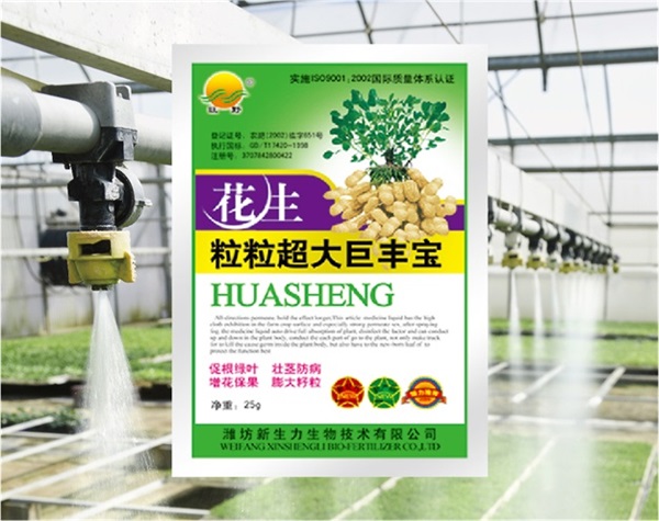 花生粒粒超大巨丰宝