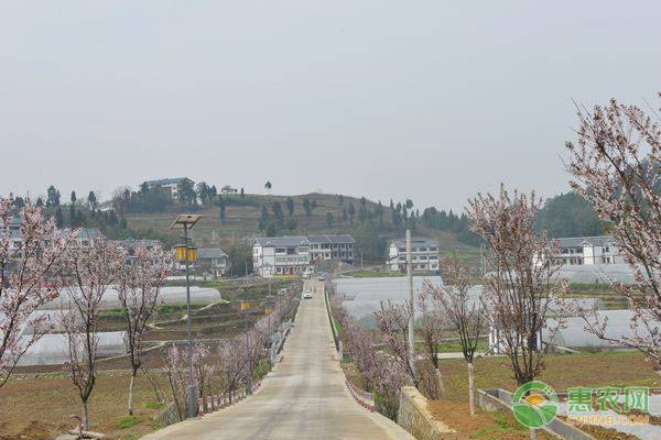 2019年农村土地有哪些大调整?